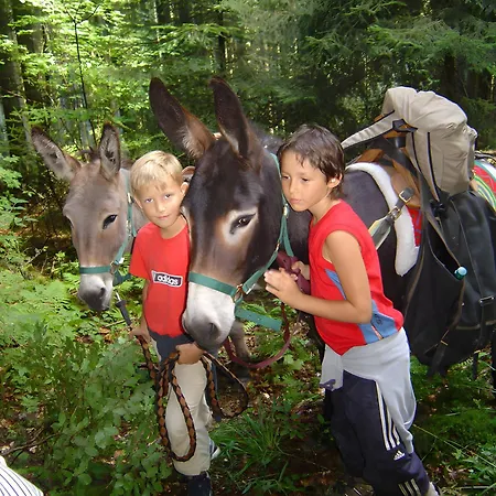 B&B D'hotes Au Pre De La Basse 3*