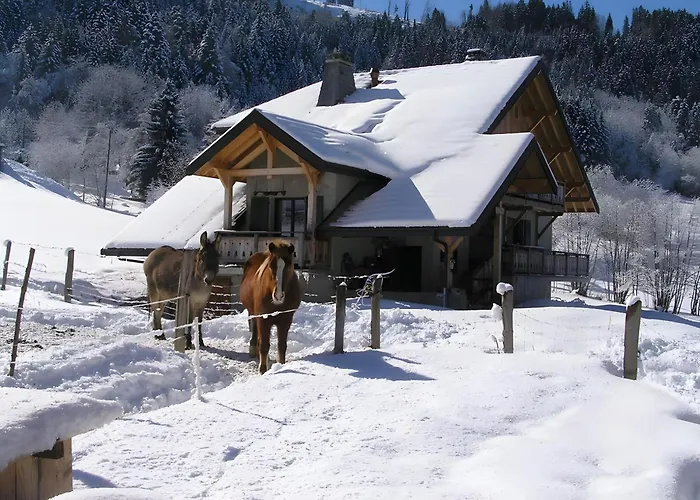 D'hotes Au Pre De La Basse Bed & Breakfast